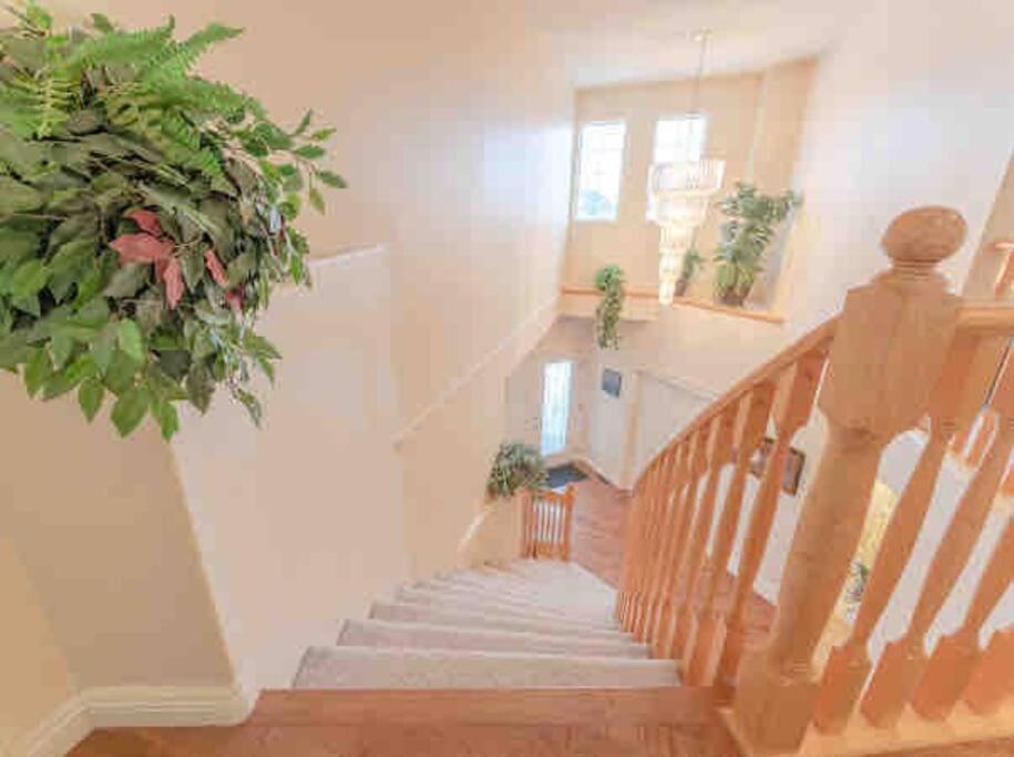 2500 Sq House In Springbank Hill Bl 261818 Βίλα Κάλγκαρι Εξωτερικό φωτογραφία