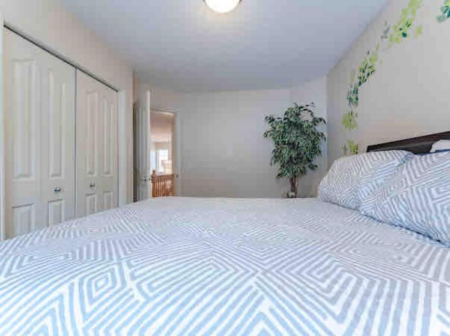 2500 Sq House In Springbank Hill Bl 261818 Βίλα Κάλγκαρι Εξωτερικό φωτογραφία